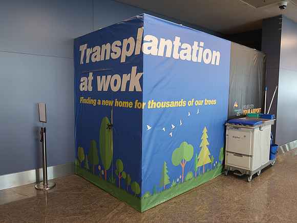 IMG_7626-transplantation-at-work