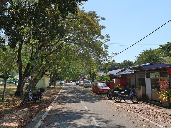 IMG_7250-permatang-damar-laut,