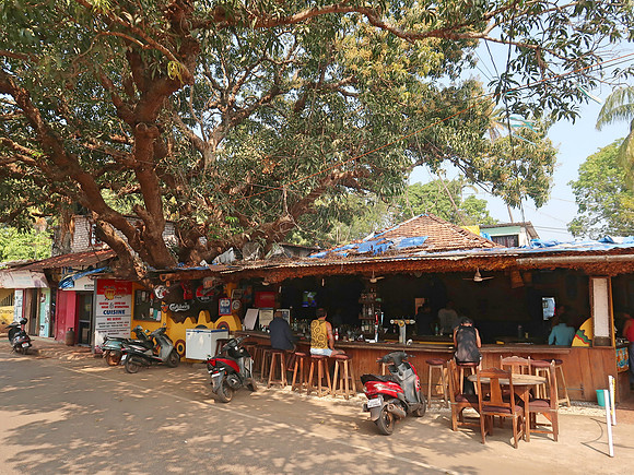 IMG_7727-the-mango-tree