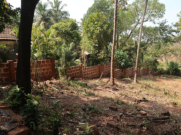 IMG_7748-goan-brick