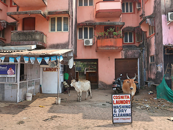 IMG_7815-cosnita-laundry