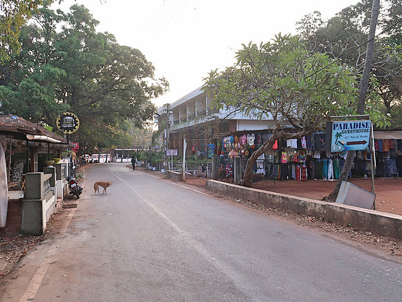 IMG_7685-paradise-guesthouse-anjuna