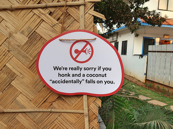 IMG_7690-coconut-falls-on-you