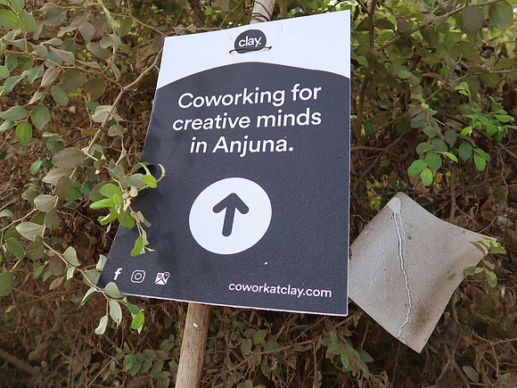 IMG_7694-co-working