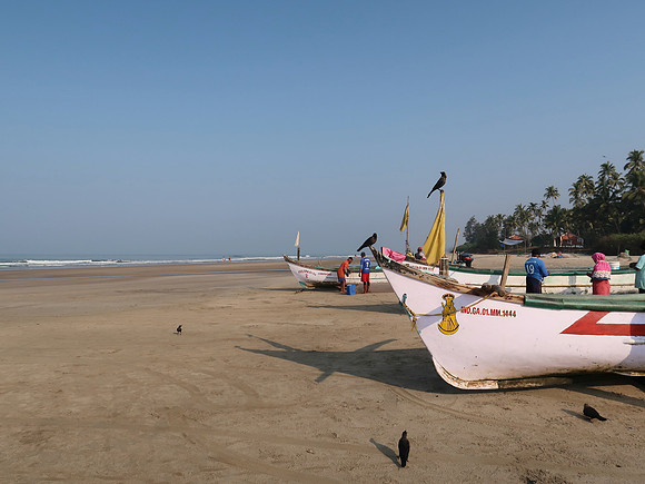 IMG_7980-fishing-boats