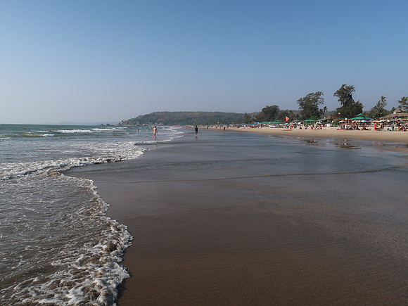 IMG_8056-beach-shore