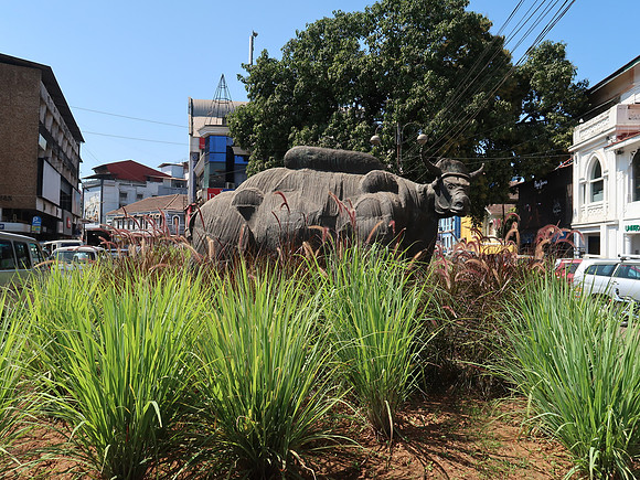 IMG_8107-buffalo-statue