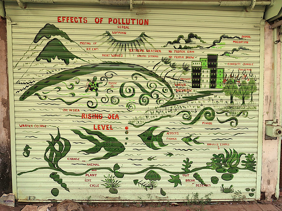 IMG_8128-effects-of-pollution