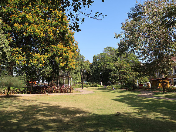 IMG_8156-garden