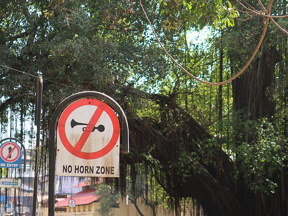 IMG_8157-no-horn-zone