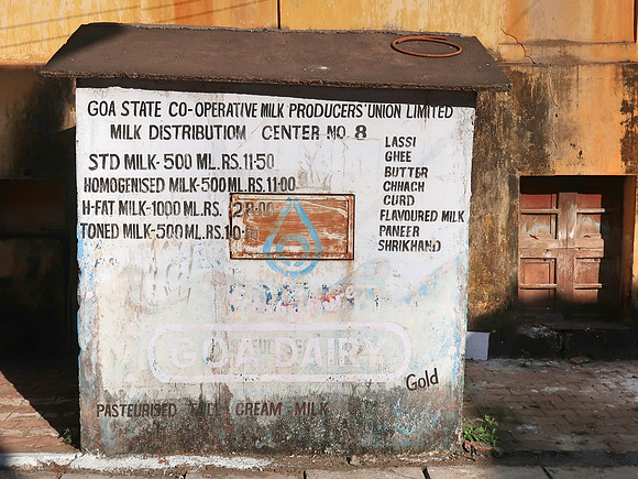 IMG_8213-goa-dairy