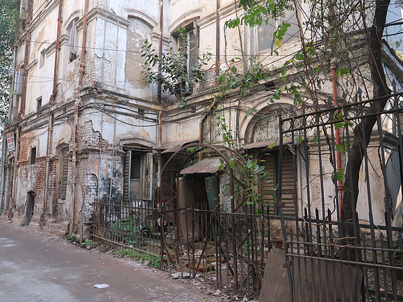 IMG_8509-59-park-street