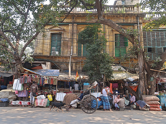 IMG_8579-rickshaw