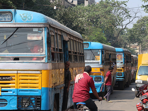 IMG_8742-buses