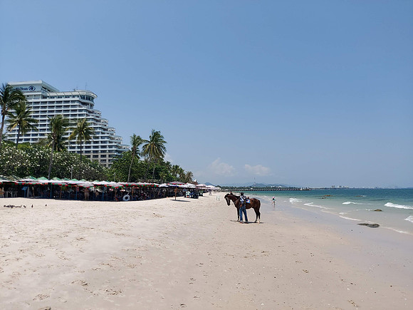 20220317_124559-beach-horse