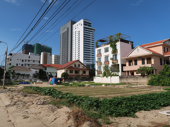 IMG_0401-vegetable-garden-le-manh-trinh