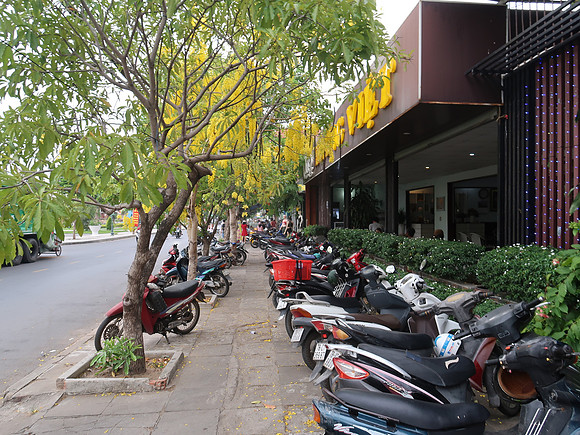 IMG_0845-parked-bikes