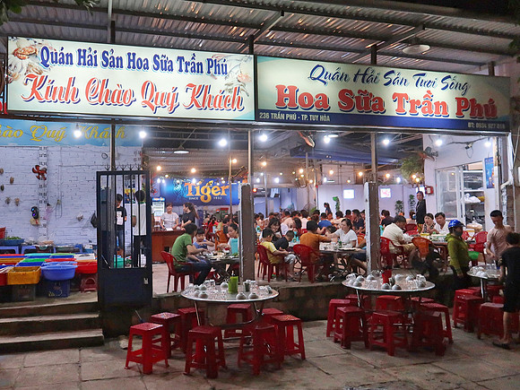 IMG_0875-hoa-sua-tran-phu