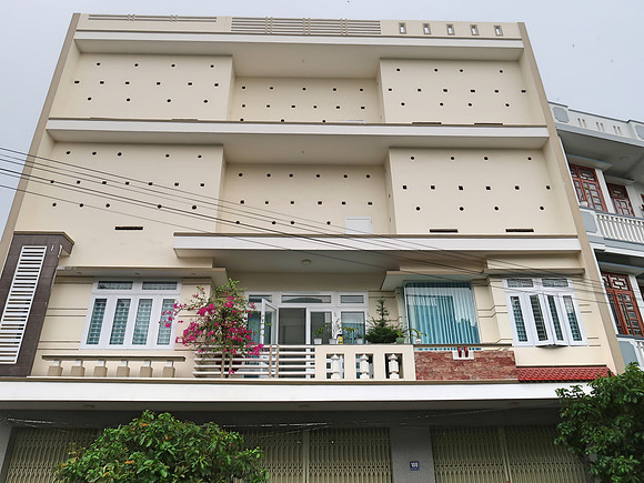 IMG_1112-bird-nest-house