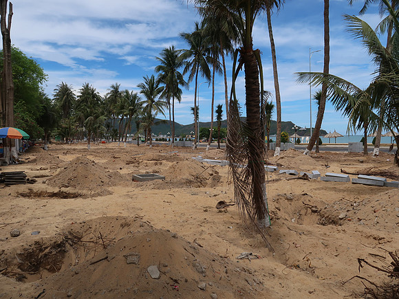 IMG_1425-beach-park-landscaping