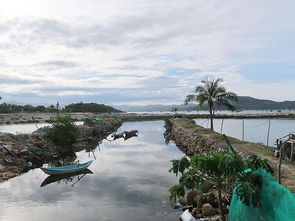 IMG_1185-fish-farms