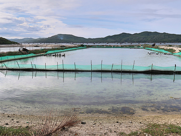 IMG_1189-aquafarming