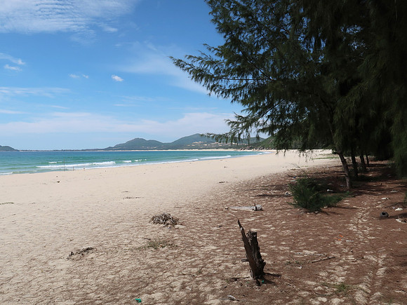 IMG_1217-vinh-hoa-beach-trees