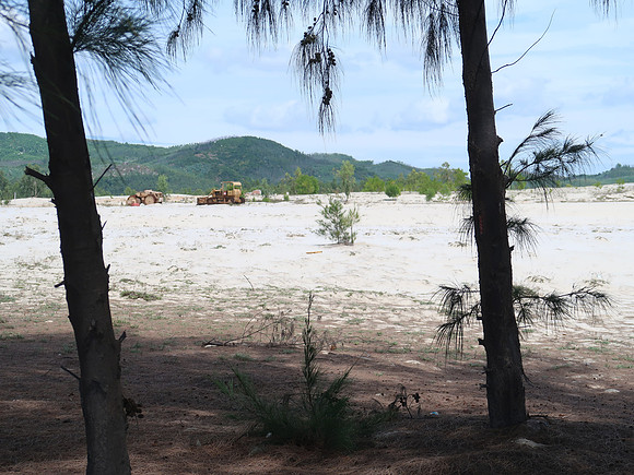 IMG_1219-land-clearing-vinh-hoa