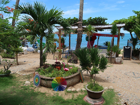 IMG_1252-lifes-a-beach-garden