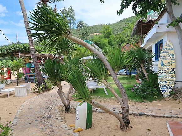 IMG_1264-lifes-a-beach-entrance