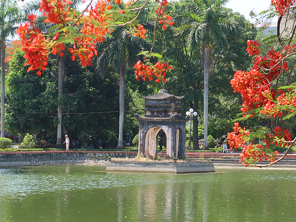 IMG_1670-thanh-quang-park-flowers