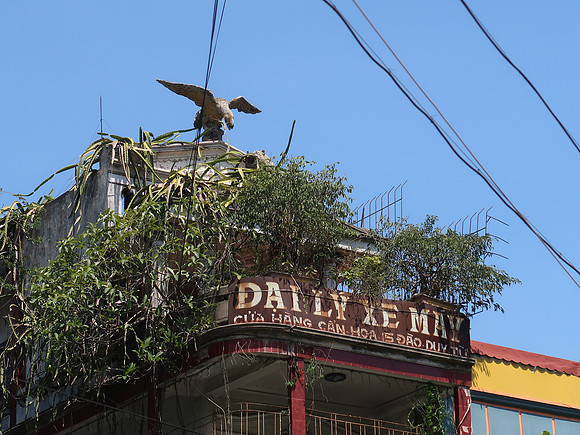 IMG_1681-dai-ly-xe-may