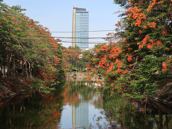 IMG_1913-canal