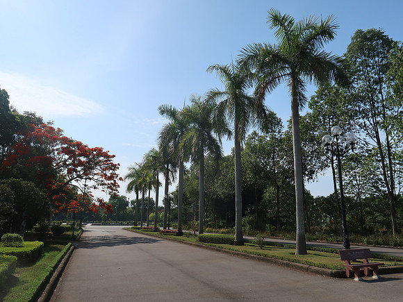 IMG_1940-hoi-an-park