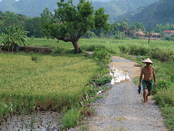 IMG_2020-duck-farmer