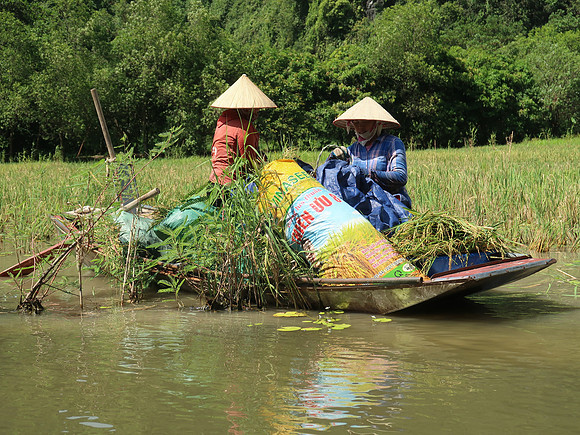 IMG_2072-rice-farmers