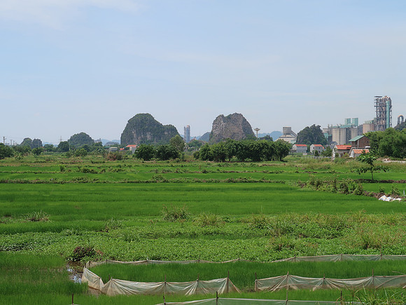 IMG_2104-rice-and-industry