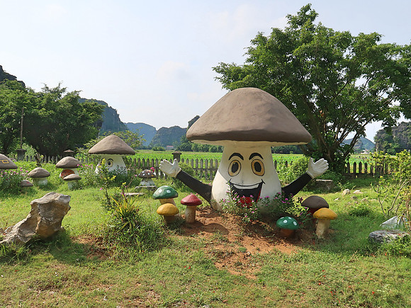 IMG_2130-happy-mushroom