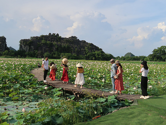 IMG_2157-lotus-garden-photos