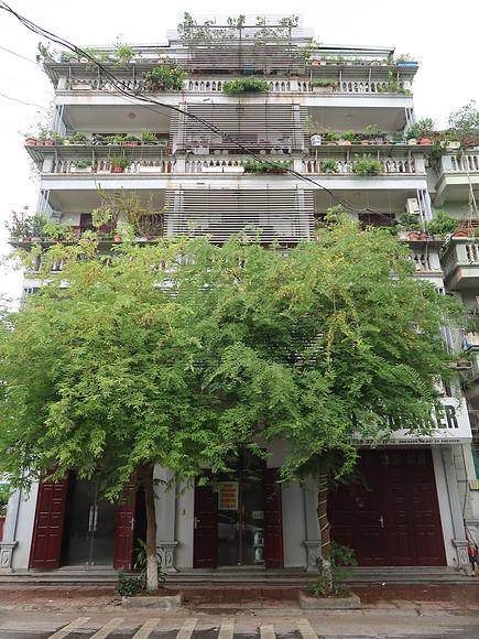 IMG_2218-99-luong-van-tuy