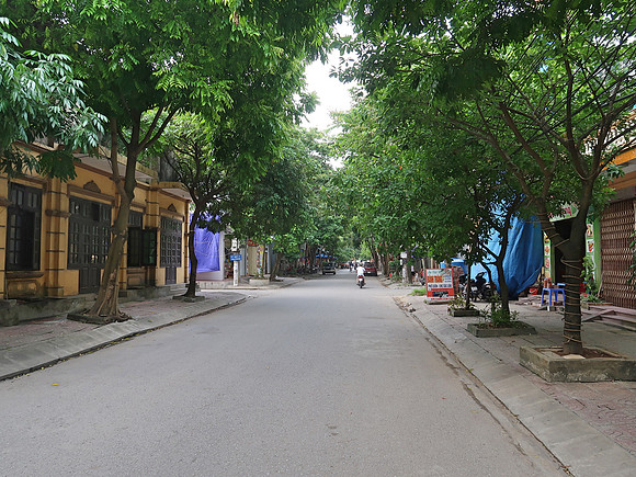 IMG_2267-leafy-ninh-binh