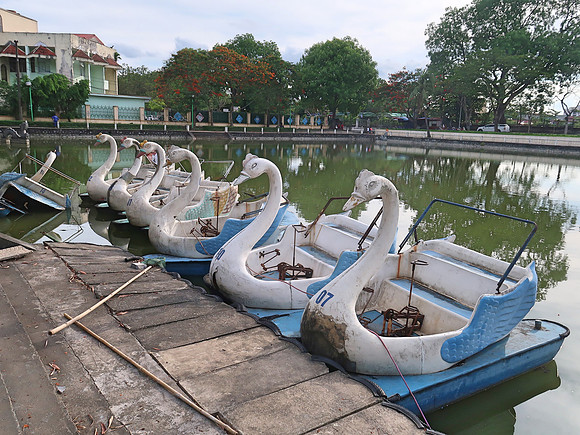 IMG_2284-swan-boats