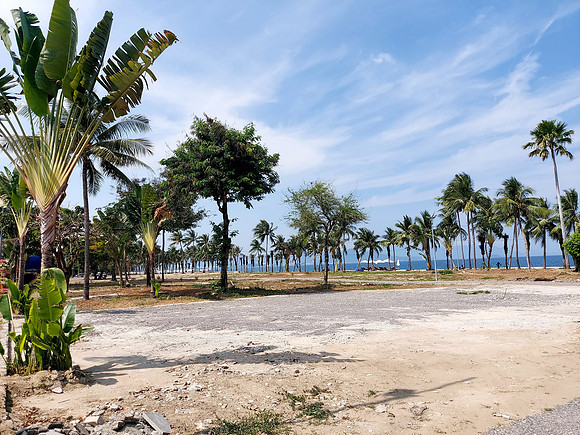 20240331_134419-cleared-beach-area