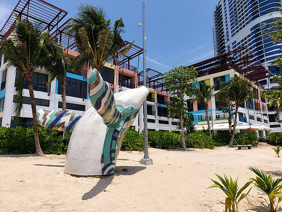 20240331_113228-whale