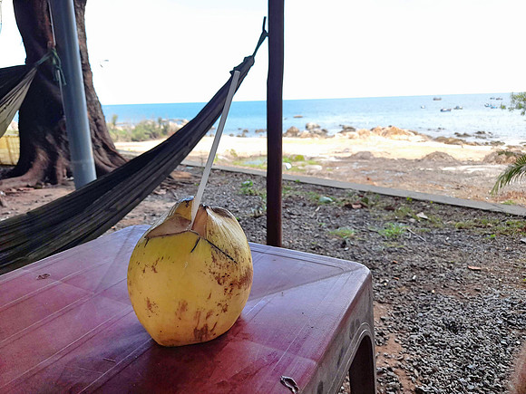20200912_133458-coconut-view