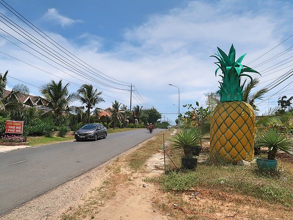 IMG_3290-pineapple
