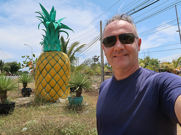 IMG_3294-james-at-pineapple