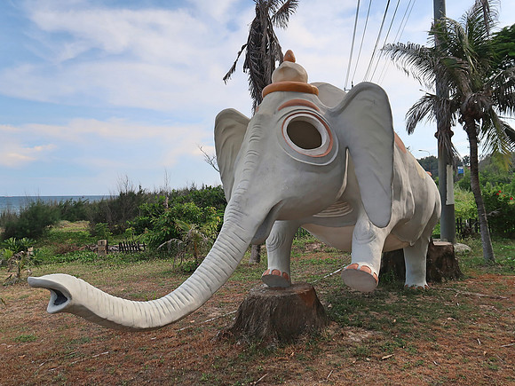 IMG_3382-big-eyed-elephant