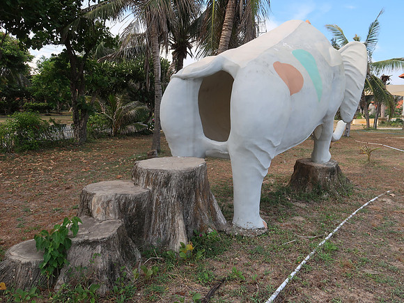 IMG_3385-elephant-poop
