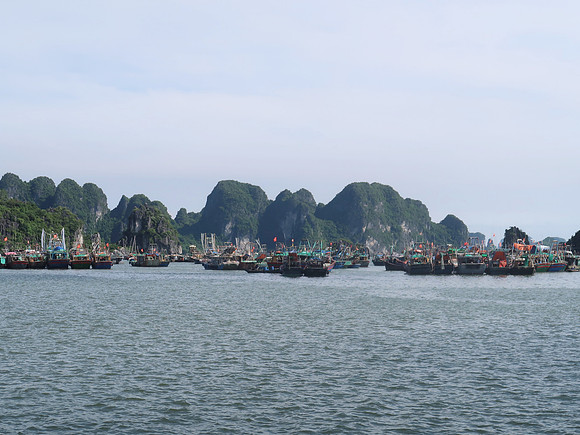 IMG_3566-halong-fishing-boats
